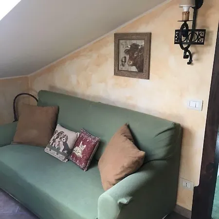 Casa Dotty